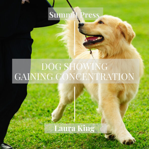 Gaining Concentration Dog Showing Hypnosis MP3 or CD